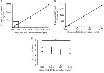 Figure 4. Imaging and analysis of solute permeability in vivo