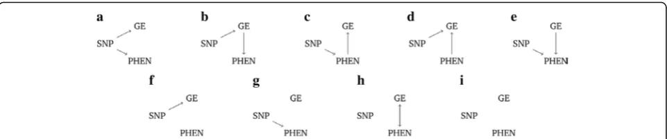 Fig. 1 Possible causal models a–i as described in the text. GE, gene expression; PHEN, phenotype