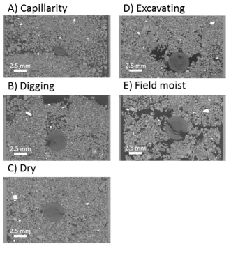 Figure 2: Results of the packing studies. The labelling of different methods refers to the previously explained methods of 