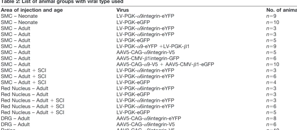 Table 1. List of viruses produced and used for procedures