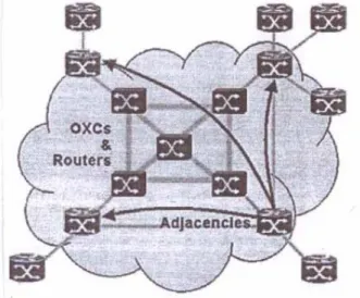 Figure  1 : IP  Over  OXC/DWDM 