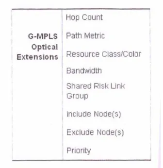 Table  1: G-MPLS  Optical  Extensions 