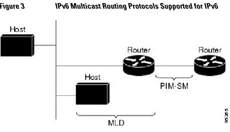 Figure 3 IPv6 Multicast Routing Protocols Supported for IPv6