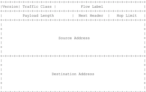 Figure 3. IPv6 Header (Deering  and Hinden 1998) 