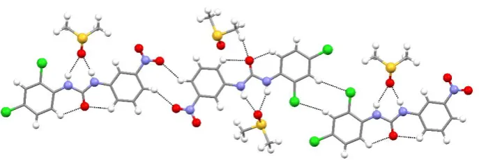 Fig 3. Main intermolecular interaction for structure L8•DMSO.  