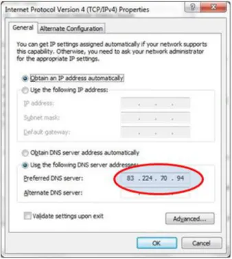 Figure 9: Set the preferred DNS 