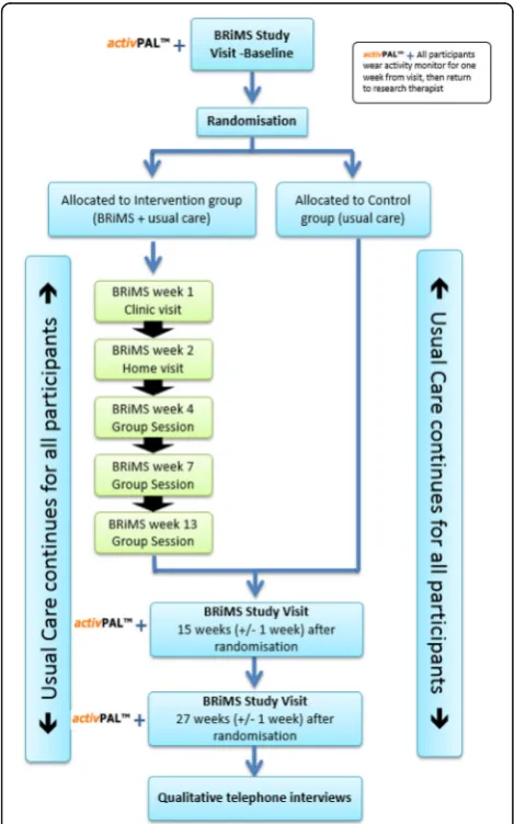 Fig. 1 Participant pathway