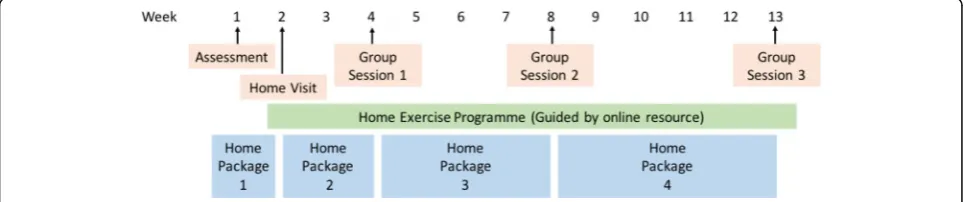 Fig. 2 BRiMS programme activities