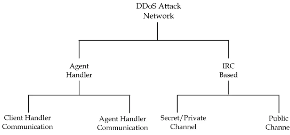Figure 2.1: DDoS Attack Network