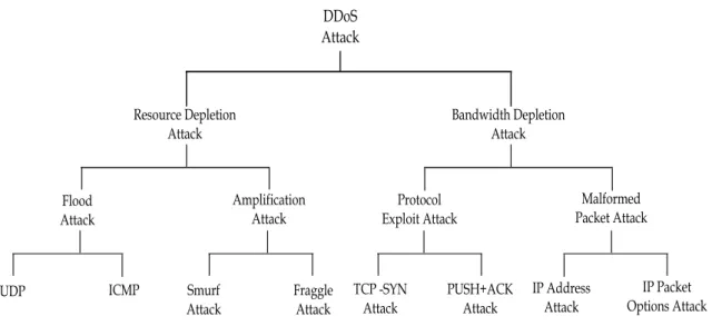 Figure 2.4: DDoS Attack Taxonomy