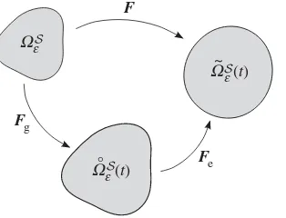 Figure 2. Schematic diagram of the decomposition into the growth and elastic response deformations