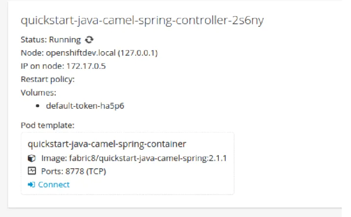 Figure 2.4. JVM Console