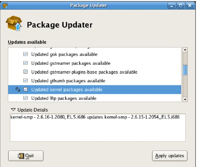 Figure 3.1. Package Updater Interface