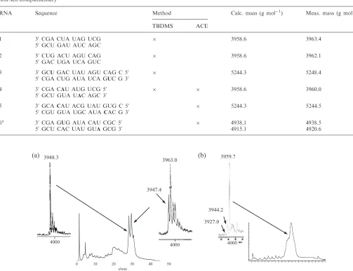 Table 1. Spin-labeled RNA and their corresponding masses; the chemistry used for the preparation is indicated by a cross, a: RNA6 isnon-self-complementary