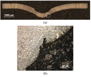 Fig. 11 Images of a P91 SPCT