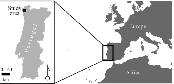 Figure 1. Location of the study area. 