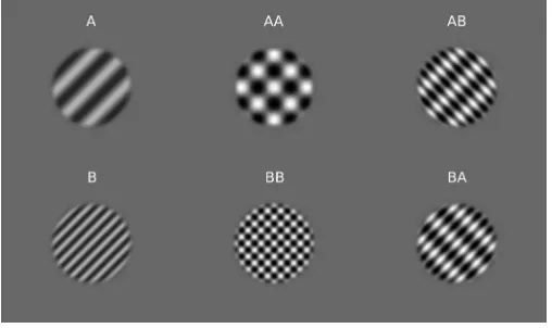 Figure 1. Grating/plaid examples. Left: Grating componentalone examples. Middle: Coherent plaid examples