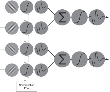 Figure 2. Model schematic displaying how contrast input was transformed within each layer