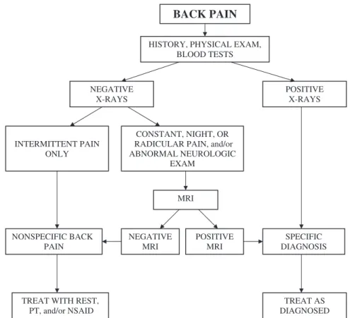 FIGURE 1. Pediatric back pain algorithm.