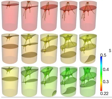 Figure 4: Water saturation (S) in loamy sand soil for a growing root system.  Left to right shows the root system at 2, 4, 6, 8 and 12 days post transplanting
