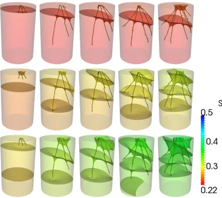 Figure 5: Water saturation (S) in a clay loam soil for a growing root system.  Left to right shows the root system at 2, 4, 6, 8 and 12 days post transplanting