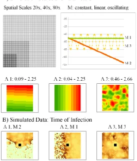 Figure 2: Simulated-estimation approach used in the study. Data were simulated using the  model using three patterns for translocation (Μ) over 100 time-steps and three patterns for diffusion (Λ) onto 20x20, 40x40, and 80x80 study areas