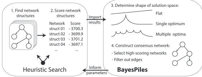 Fig. 1. An overview of the workflow. BayesPiles visualises the results of heuristic search algorithms, informstheir parameter setings and enables the construction of a consensus network structure.