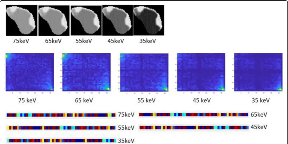 Fig. 4 Illustration of grey level co-occurrence matrices of 2 dimensional /3 dimensional images