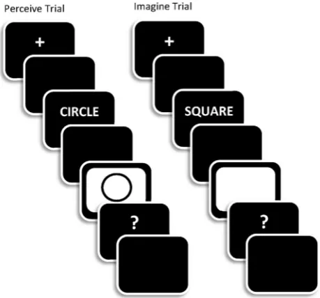 Fig. 1 efor Perceive (left-hand side) and Imagine (right-hand side)trials in the study phases of the experiment