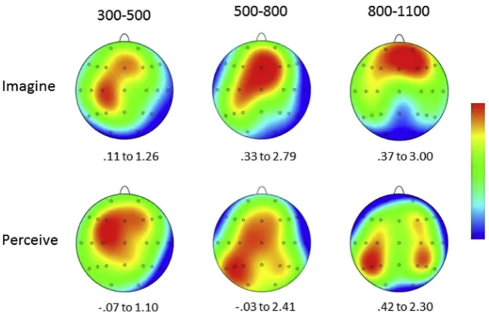 Fig. 4 e Topographic maps showing the scalp distributions of the Target ERP old/new effects in the Imagine (upper portion)and Perceive (lower portion) conditions for three post-stimulus epochs: 300e500, 500e800 and 800e1100 msec
