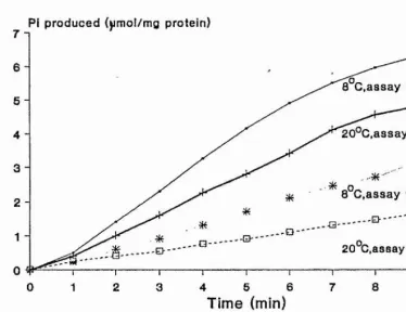 Figure 9. Rate of Pi production of cold- and warm-acclimated carp assayed at 8*.C and 20* C