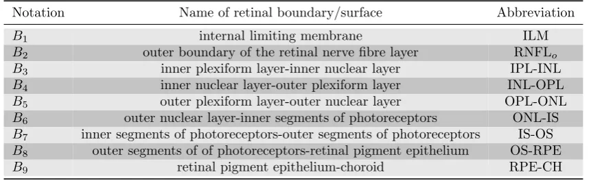 Figure 2: An example cross-sectional B-Scan OCT image centred at the macula, showing nine target intra-retinal layer boundaries detected by the proposed method