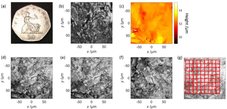 Fig. 4. Extraction of the 2D intensity maps from CSI measurements of a coin surface and definition of the grid
