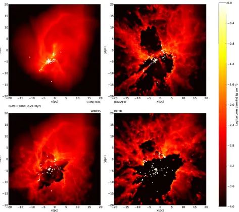 Figure 8. Comparison of the cold-gas morphology in the Run I calculations with no feedback (top left), with ionization only (top right), with winds only(bottom left) and with both winds and ionization (bottom right).