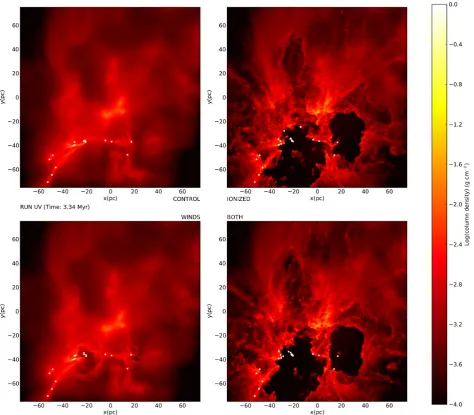 Figure 10. Comparison of the cold-gas morphology in the Run UV calculations with no feedback (top left), with ionization only (top right), with winds only(bottom left) and with both winds and ionization (bottom right).