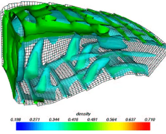 Figure 2: This shows a pair of iso−surfaces of density for flow inside a combustion chamber