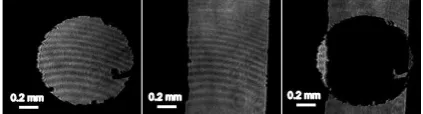 Figure 4: Inspection result comparing a rectangular bar with a hole. Images of a  hole of Φ1 mm (left), a rectangular bar of 0.8 mm width (middle) and the optical difference of two objects (right)