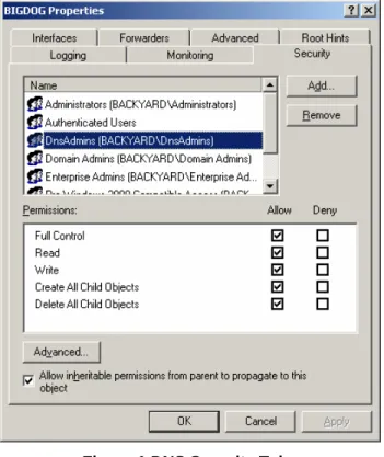 Figure 1 DNS Security Tab 