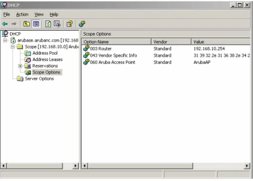 Figure 3 - Final view of DHCP scope options 