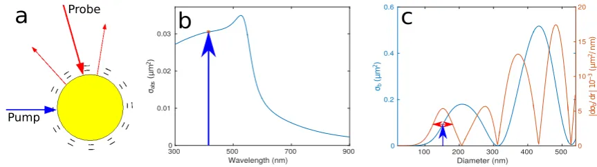 Figure 1. (a) schematic representation of the experiment, showing the spherical nanoparticle, the pumpand probe laser beams and the vibrations; (b) the absorption cross-section for a 150 nm gold nanoparticlecomputed [3] with the ﬁxed pump wavelength (λpump