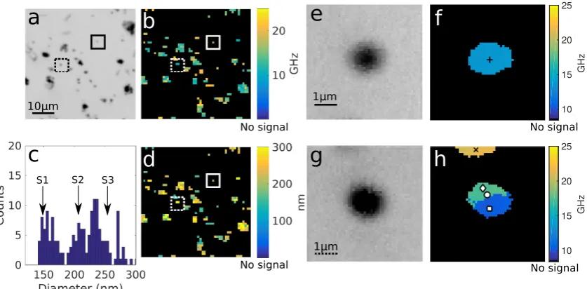 Figure 4. Sample containing a mixture of gold nanospheres of different sizes, imaged over an areapictures, respectively, of the solid square area (5of 50 × 50 µm2 and two 5 × 5 µm2 ﬁner scans measuring transmitted light