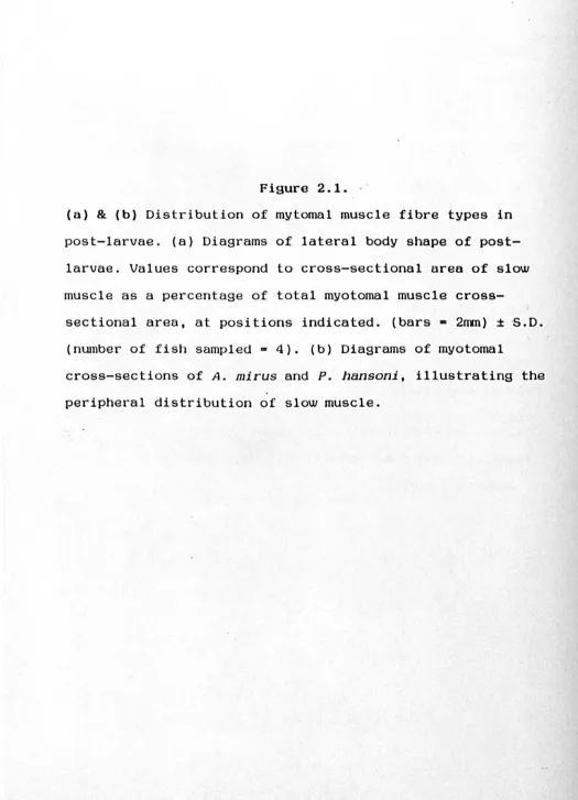 Figure 2.1. 