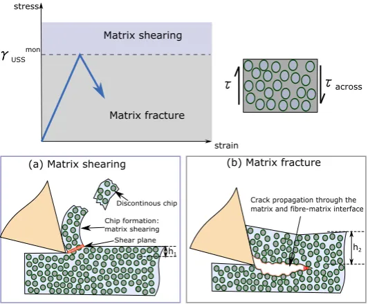 Figure 6: Cutting modes in across ﬁbres (a) matrix shear (b) matrix fracture withh1 < h2