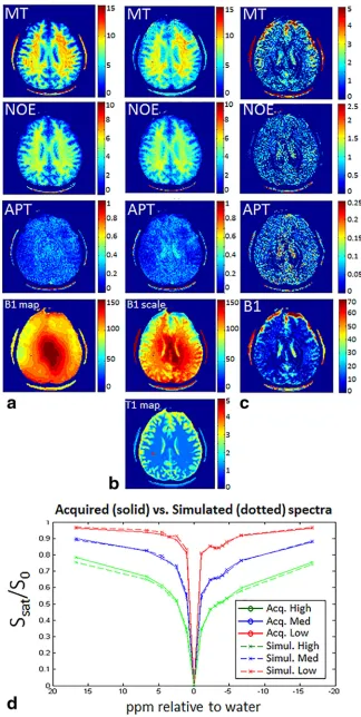 FIG. 5. MT, NOE, and APT maps resultingfrom the fit. (a) Results when fitting using apriori knowledge of B1 taken from the sep-arately acquired the B1 map shown at thebottom of the column