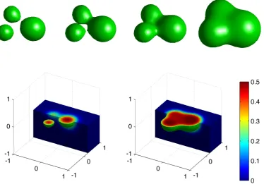 Figure 3. Three-dimensional simulation of the phase-ﬁeld tumor growth model. We start with threesmall tumors