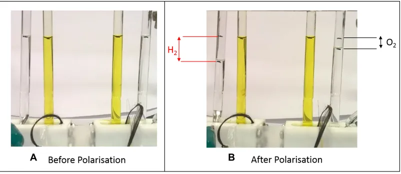 Figure 2. CBE system (A) before and (B) after 3.7 V was applied between the Pt flag electrodes for 3 × 103 s