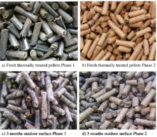 Fig. 3. Fresh and stored pellets after 3 months in storage from Phase 1 (a + c) and Phase 2 (b + d) outdoor steam exploded pellet piles, where fresh is used to denote pellets at the start ofthe storage period.