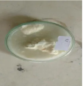 Fig 1: Different types of milk sample. 