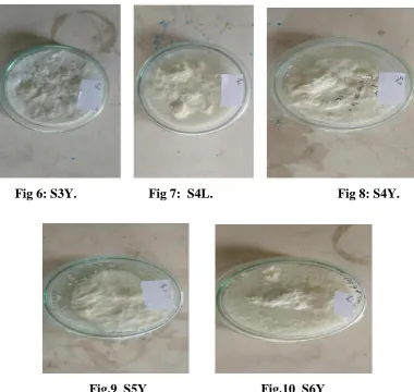 Fig 6: S3Y.                      Fig 7:  S4L. 