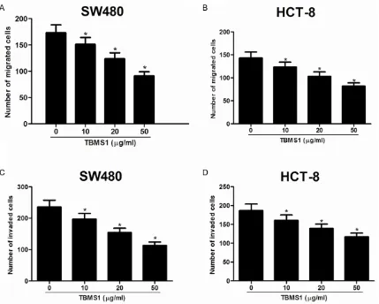 Figure 1. Tubeimoside-1 (TBMS1) inhibits CRC cell proliferation. CRC cells were treated with various concentrations of TBMS1 (0, 10, 20 and 50 µg/ml) for 24 h, 48 h, 72 h and 96 h, and the cell proliferation was determined using MTT assay